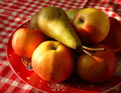 Как правильно собирать яблоки и груши